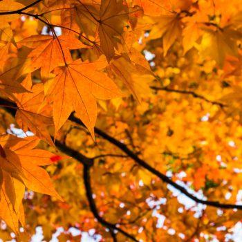 行楽の秋はタビジョになろう♪　LOVEggg2ndがこの秋行きたい推しスポット大紹介！